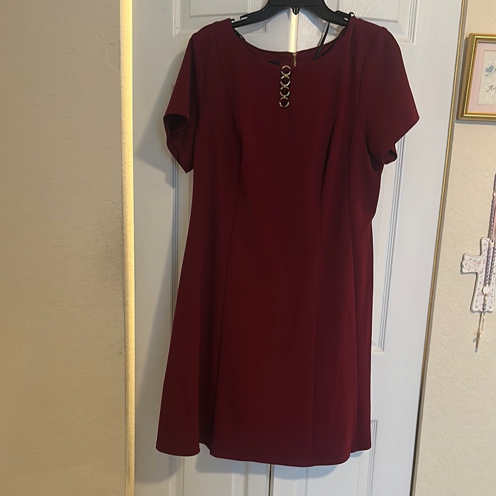 Alyx Red A-Line Mini Dress for Casual Work